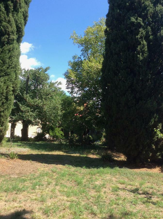Art Home Bnb Carcassonne Exterior foto