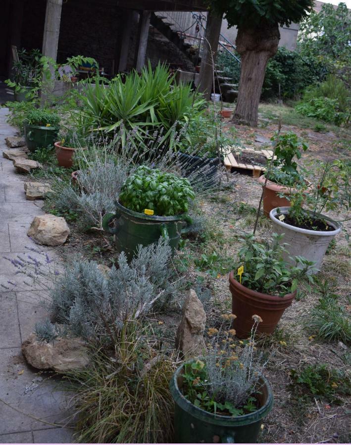 Art Home Bnb Carcassonne Exterior foto